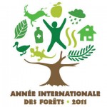 Année intenationale des forêts 2011