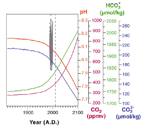 Variation du pH océanique et de la concentration du CO2 atmosphérique entre 1800 et aujourd’hui
