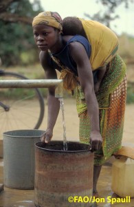 Femme tirant de l’eau au Mozambique