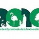 Logo Année internationale de la biodiversité