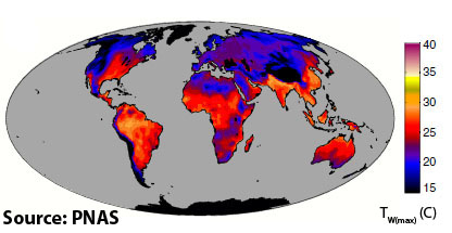 Temperature globe mouillee 1998-2008