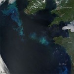 Le phytoplancton tend à disparaître Bloom phytoplancton en Atlantique