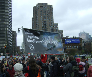 Manifestation environnementaliste