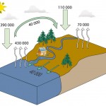 L’appropriation par l’humanité de l’eau douce renouvelable Cycle de l'eau simplifié