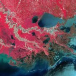 Marais maritime - Delta de la rivière Mississipi
