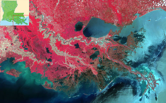 Marais maritime - Delta de la rivière Mississipi